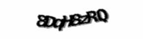 Security check image, please type the characters shown