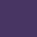 PURPLE MULTI